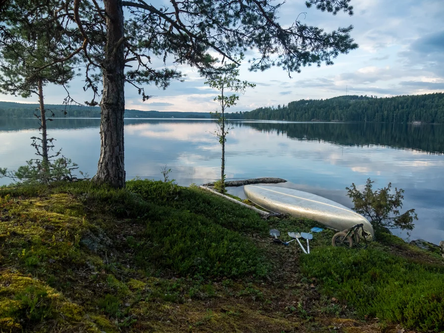 Swedish Lake